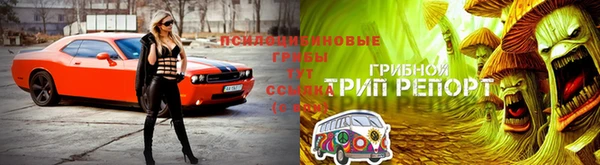 метадон Михайлов