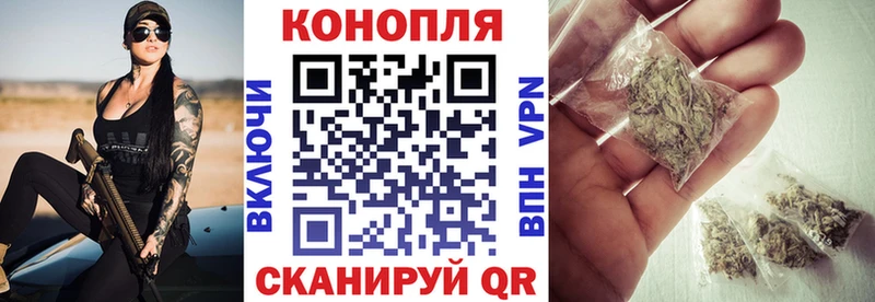 Конопля OG Kush Омутнинск